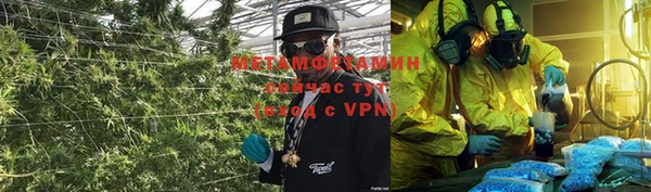 ПСИЛОЦИБИНОВЫЕ ГРИБЫ Аркадак