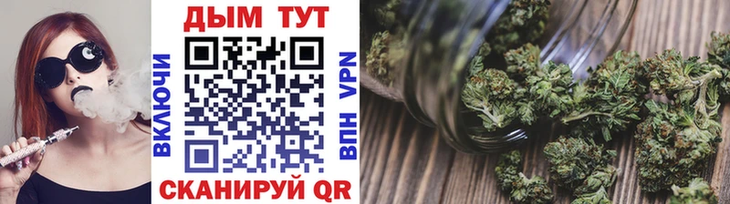 МАРИХУАНА SATIVA & INDICA  купить закладку  Отрадная 